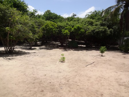 BELEZAS NATURAIS